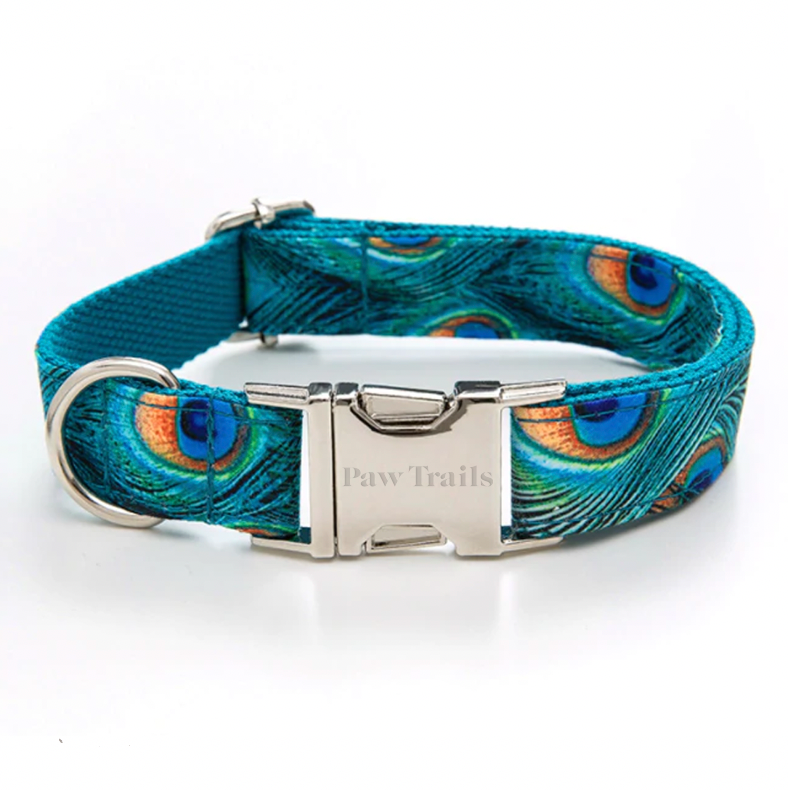 Paw Trails Peacock Collar and Lead Set