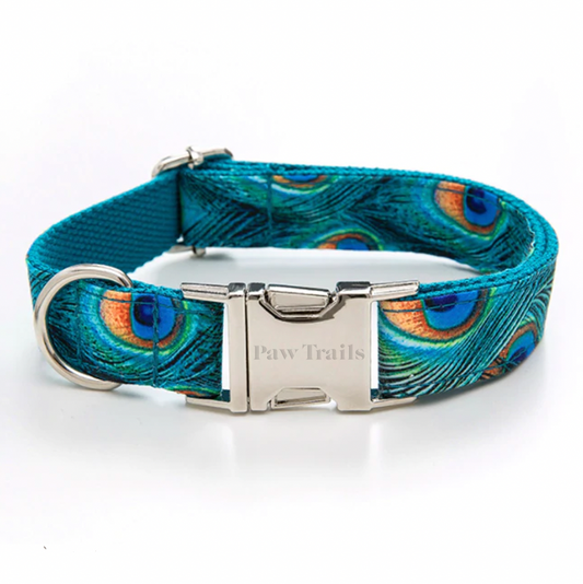 Paw Trails Peacock Collar and Lead Set