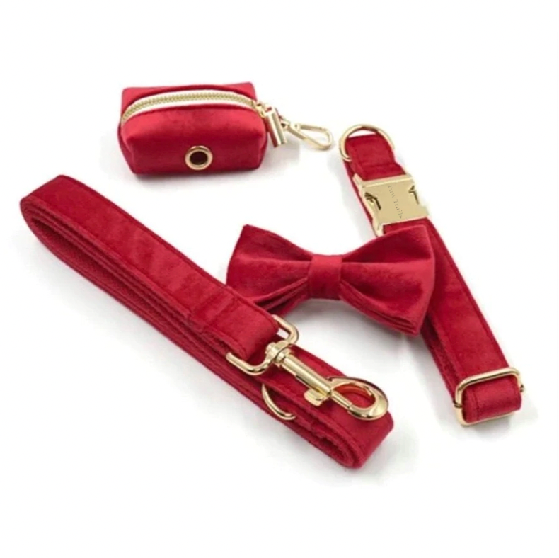 Paw Trails Red Accessories Bundle